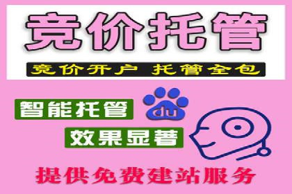 sem代运营公司成功案例：提升网站流量与转化率